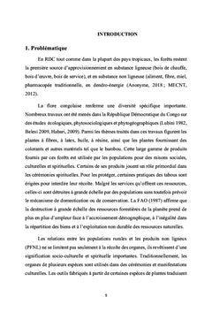 Valeur socioculturelles et commerciales des produits artisanaux
