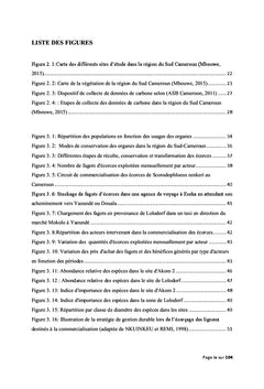 Impact environnemental et social de l'exploitation d'un PFNL S.Zenkeri