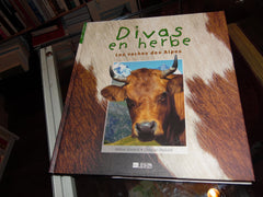 Divas en herbe - les vaches des Alpes