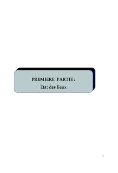 Gestion des risques et controle interne dans le Secteur Public
