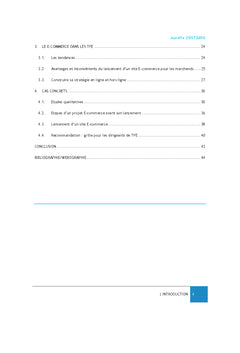 Lancement d'un projet e-commerce pour les TPe "Brick and Mortar"