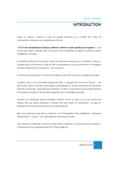 Lancement d'un projet e-commerce pour les TPe "Brick and Mortar"