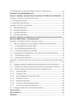 Microfinance: Limites et remise en cause d'une pratique lucrative.