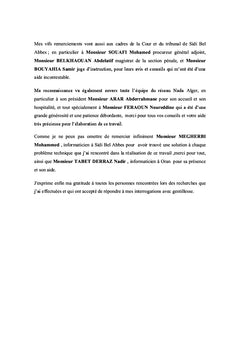 La protection des mineurs contre la cyberpedopornographie