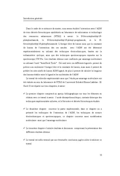 Etude in silico et in vitro de l'interaction de amide ferro avec l'ADN