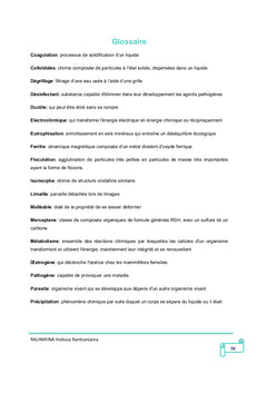 Contribution à l'étude de valorisation des minerais de fer