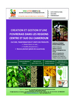 Creation et gestion d'une poivrerais au Centre et au Sud du Cameroun