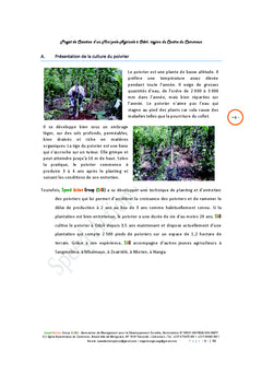 Creation et gestion d'une poivrerais au Centre et au Sud du Cameroun