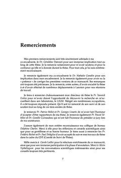 Structuration thematique de documents audio