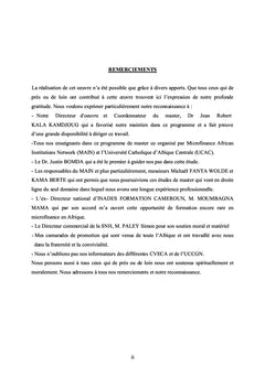MISSION SOCIALE ET COMMERCIALE CONCILIATION DIFFICILE POUR UNE IMF
