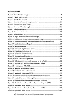 Etude des proprietes pharmacologiques de Aloe macroclada