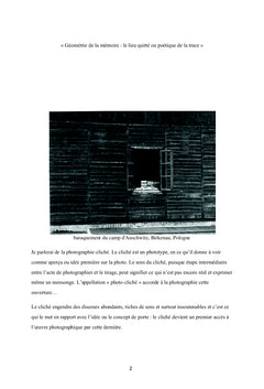 Décentrer le regard. L'image entre tentation et adaptation