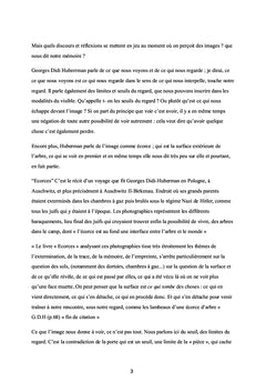Décentrer le regard. L'image entre tentation et adaptation