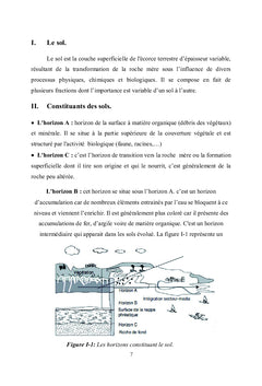 Regeneration des sables contamines par les hydrocarbures en lit fluide