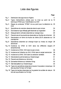La psorose et la panachure infectieuse sur les agrumes en Algérie