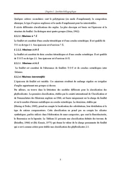 Pouzzolanicite des mineraux argileux: effet des mineraux associes