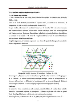 Pouzzolanicite des mineraux argileux: effet des mineraux associes