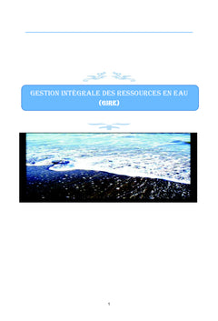 Pollution de l'eau et de ses ressources