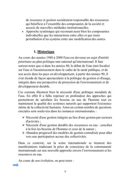 Pollution de l'eau et de ses ressources