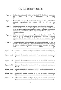 Etude du controle temporel multicontextuel du signal de parole