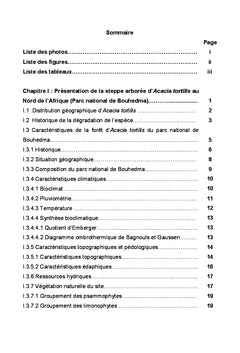 Acacia tortilis de la steppe arboree du Nord de l'Afrique
