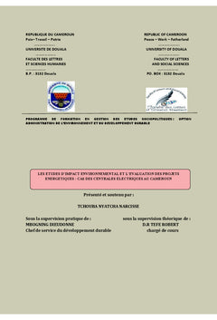 Les etudes d'impact et l'evaluation des projets energetiques