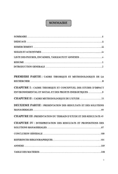 Les etudes d'impact et l'evaluation des projets energetiques
