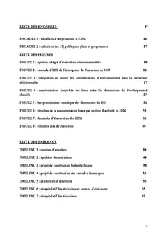 Les etudes d'impact et l'evaluation des projets energetiques