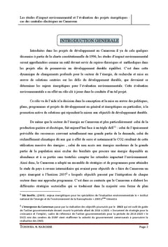 Les etudes d'impact et l'evaluation des projets energetiques