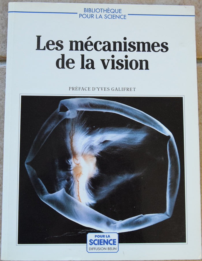 Les mécanismes de la vision