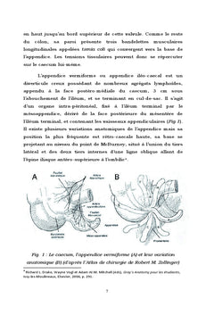 Osteopathie et cicatrices