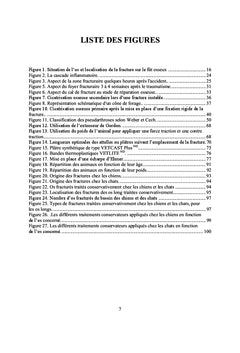 Les traitements non chirurgicaux des fractures des chiens et des chats