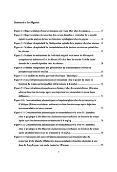Douleur et utilisation des morphiniques chez les oiseaux