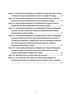 Douleur et utilisation des morphiniques chez les oiseaux