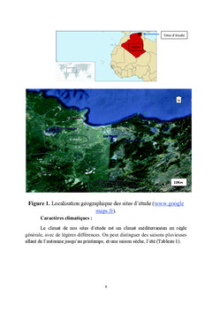 Biodiversité des Gasteropodes en Algérie. Bioindicateur Helix aperta