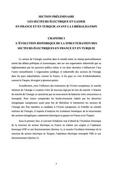 La liberalization des marches energetiques en France et en Turquie