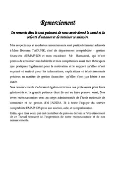 Evaluation et Analyse financiere dans une perspective IPO:eMAPHOS