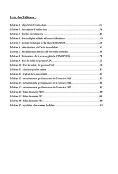 Evaluation et Analyse financiere dans une perspective IPO:eMAPHOS