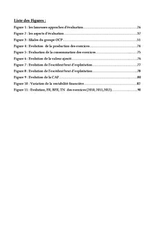 Evaluation et Analyse financiere dans une perspective IPO:eMAPHOS