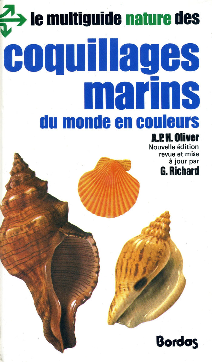 Coquillages marins