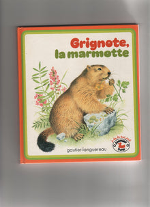 Grignote la marmotte 010598