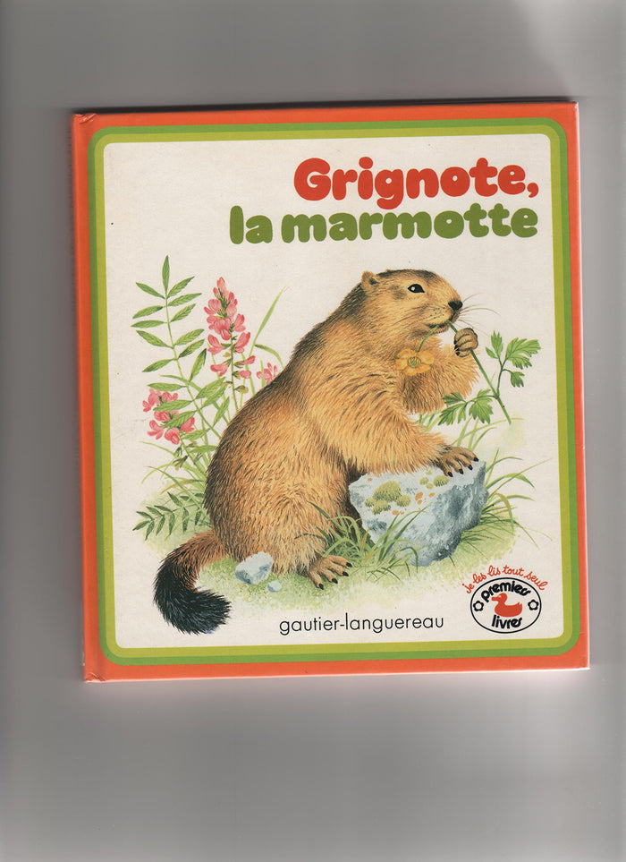 Grignote la marmotte 010598