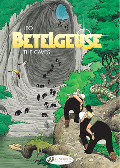 The caves