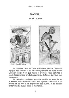 La Cité de la Paix