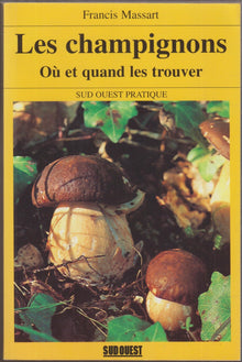 Les champignons : où et quand les trouver ?