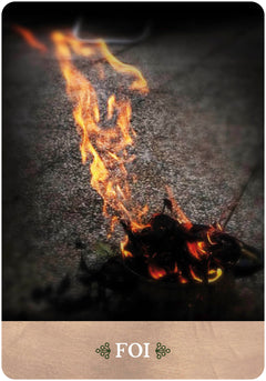 L'oeil de Gaïa - 35 cartes oracle pour vous connecter avec les esprits de la nature