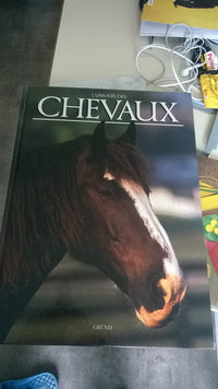 L'univers des chevaux