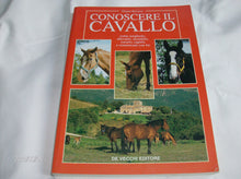 Conoscere il cavallo