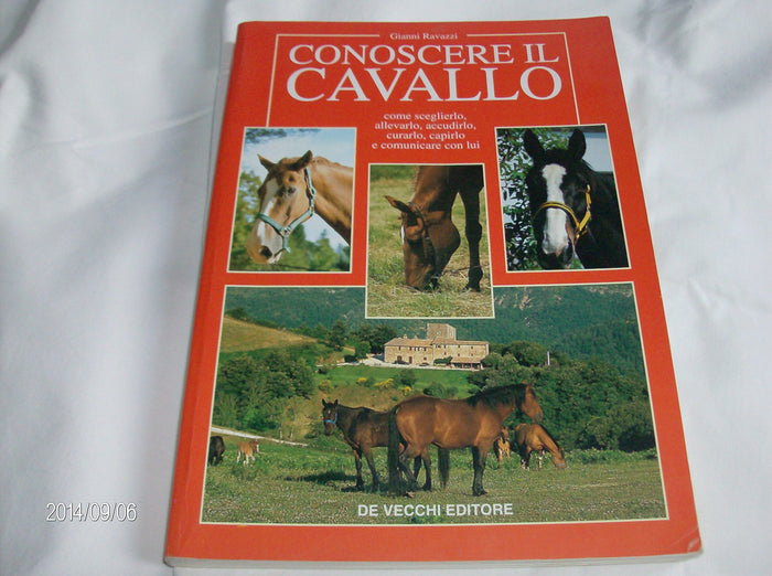Conoscere il cavallo