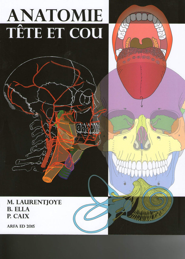 Anatomie tête et cou